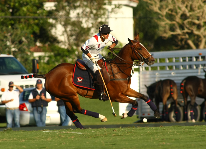 coca lechuza polo teams ipc polo club 2013 polo mag 2