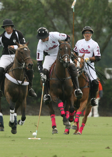 polo photos alex pacheco polo mag ipc polo club 2013 crab orchard audi polo teams 5