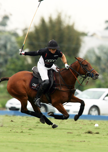 polo photos alex pacheco polo mag ipc polo club 2013 orchard hill audi polo team 1