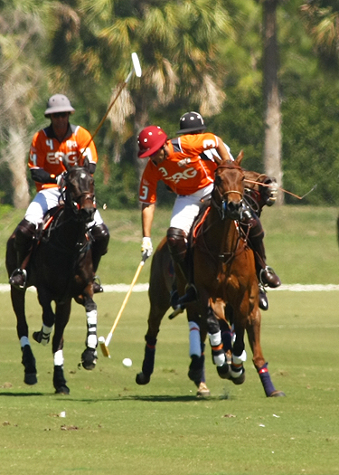 USPA Piaget Gold Cup photos 2