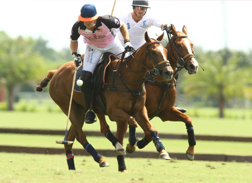 uspa polo tournament sun cup round robin pacheco polo mag 4
