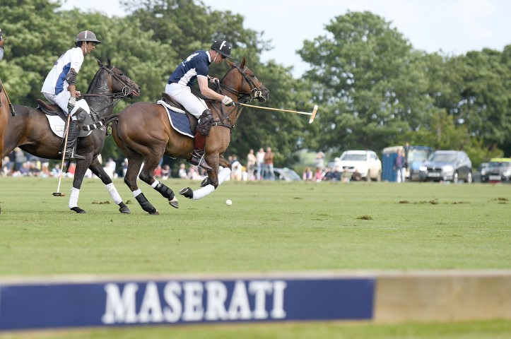 700061871JP016 Maserati Roy